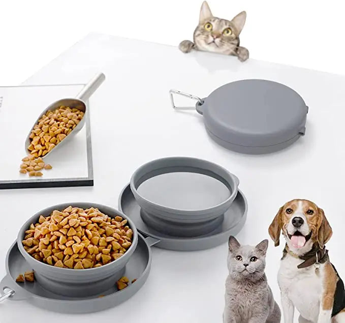 Outdoor Pet Double Bowls