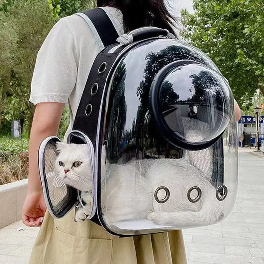 Transparent Cat Carrying Bags