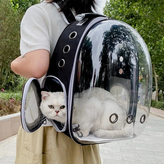 Transparent Cat Carrying Bags